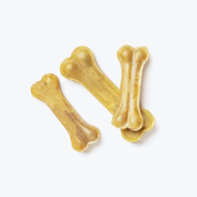 Dog Training Toys