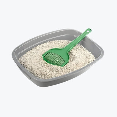 Cat Litter & Accessories