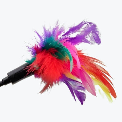 Cat Toys & Play