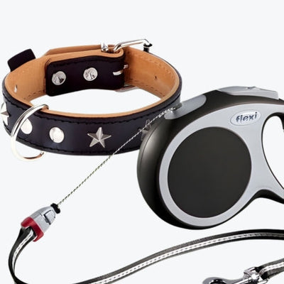 Dog Harnesses & Collars