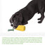 Dog Chew Toys Corn Stick Toy