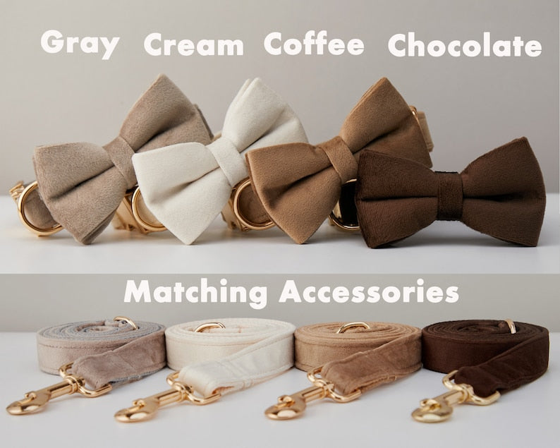 Multiple Colour Velvet Personalised Dog Collar Leash Set With Bow