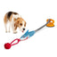 Shark Shaped Dog Toy