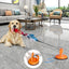Shark Shaped Dog Toy