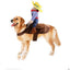 Dog Clothes Personality Funny Change Into Horse Riding Outfit