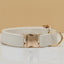 Multiple Colour Velvet Personalised Dog Collar Leash Set With Bow