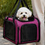 Airline Approved Portable Pet Carrier Bag