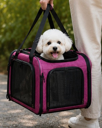 Airline Approved Portable Pet Carrier Bag