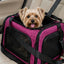 Airline Approved Portable Pet Carrier Bag
