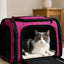 Airline Approved Portable Pet Carrier Bag