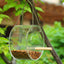 Acrylic Bird Food Box
