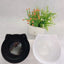 Cat Double Bowl