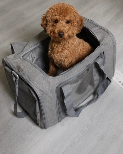 Airline Approved Portable Pet Carrier Bag