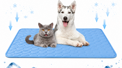 Dog Cooling Mat