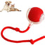 Smart Rolling Pet Ball