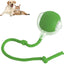 Smart Rolling Pet Ball
