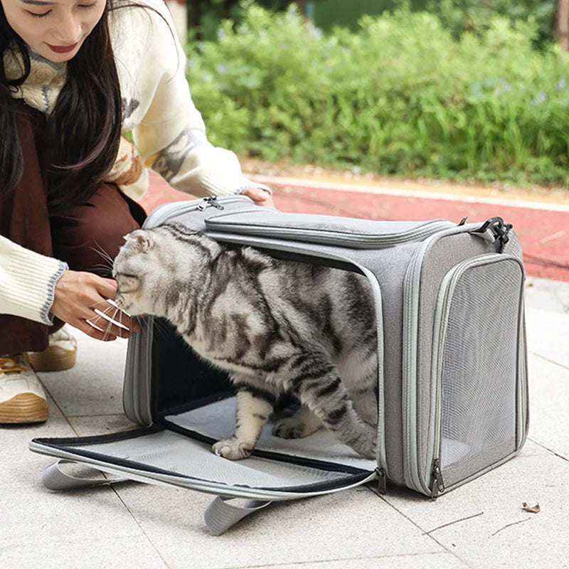 Airline Approved Portable Pet Carrier Bag