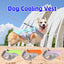 Summer Pet Dog Cooling Vest Heat Resistant Cool Dogs Clothes
