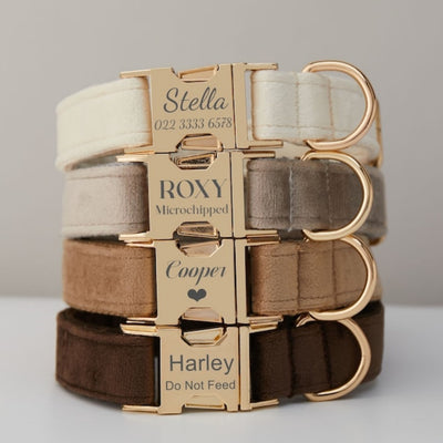 Multiple Colour Velvet Personalised Dog Collar Leash Set With Bow