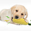 Dog Chew Toys Corn Stick Toy