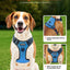Dog Harness For Large Dogs, No Pull Adjustable Dog Vest Pet Harness