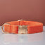 Multiple Colour Velvet Personalised Dog Collar Leash Set With Bow