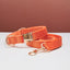 Multiple Colour Velvet Personalised Dog Collar Leash Set With Bow