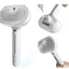 Pet Hair Spray Brush